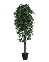 Artificial Weeping Fig Tree Ficus 210cm (7ft)